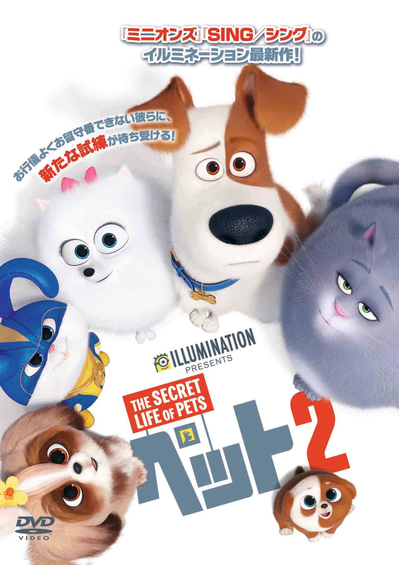 ペット２