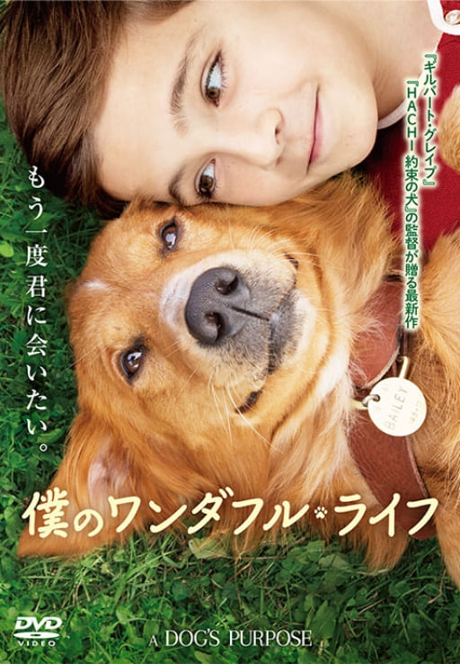 僕のワンダフル・ライフ