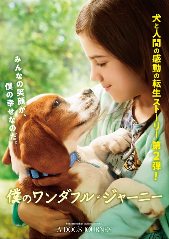 ボクのワンダフル・ジャーニー