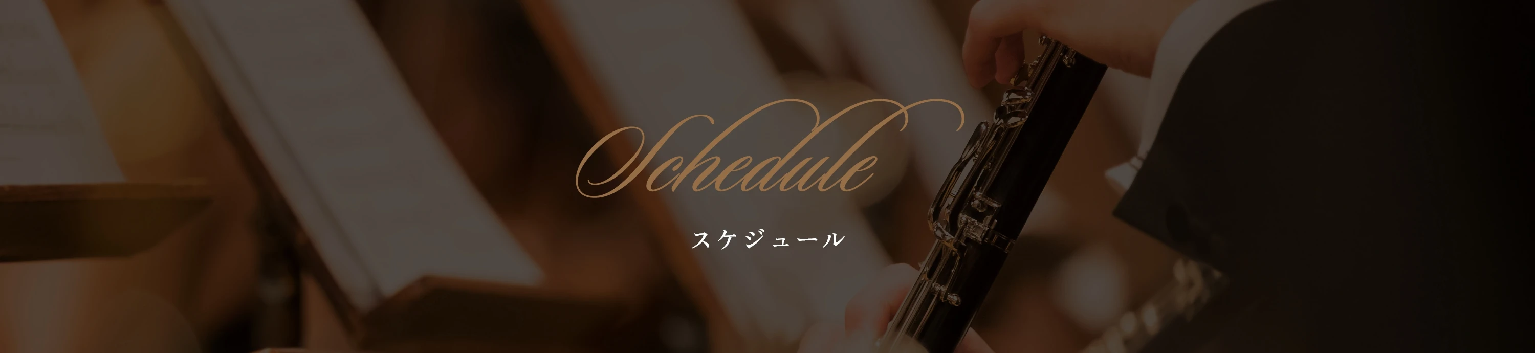 スケジュール