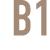 B1