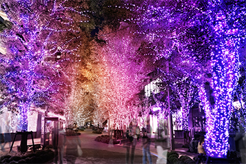 HIBIYA AREA ILLUMINATION