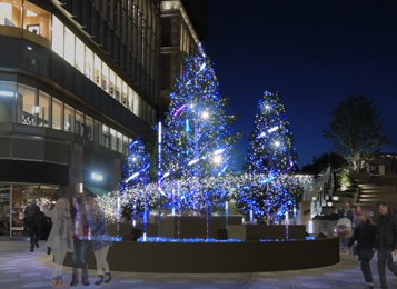 Starlight Tree(スターライトツリー) 2018