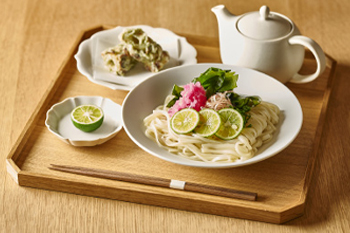 徳島すだち半田そうめん定食