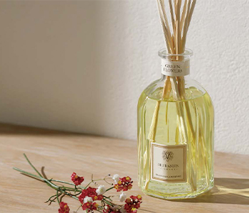 Dr. Vranjes（ドットール・ヴラ二エス）