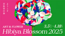 Hibiya Blossom 2025