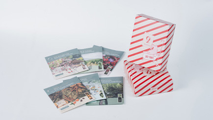 9KOSバスパウダー 