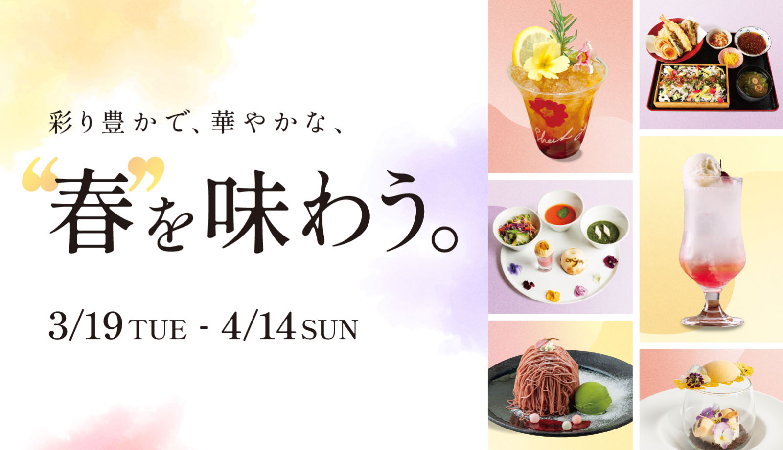 彩り豊かで、華やかな春を味わう。3/19TUE - 4/14SUN