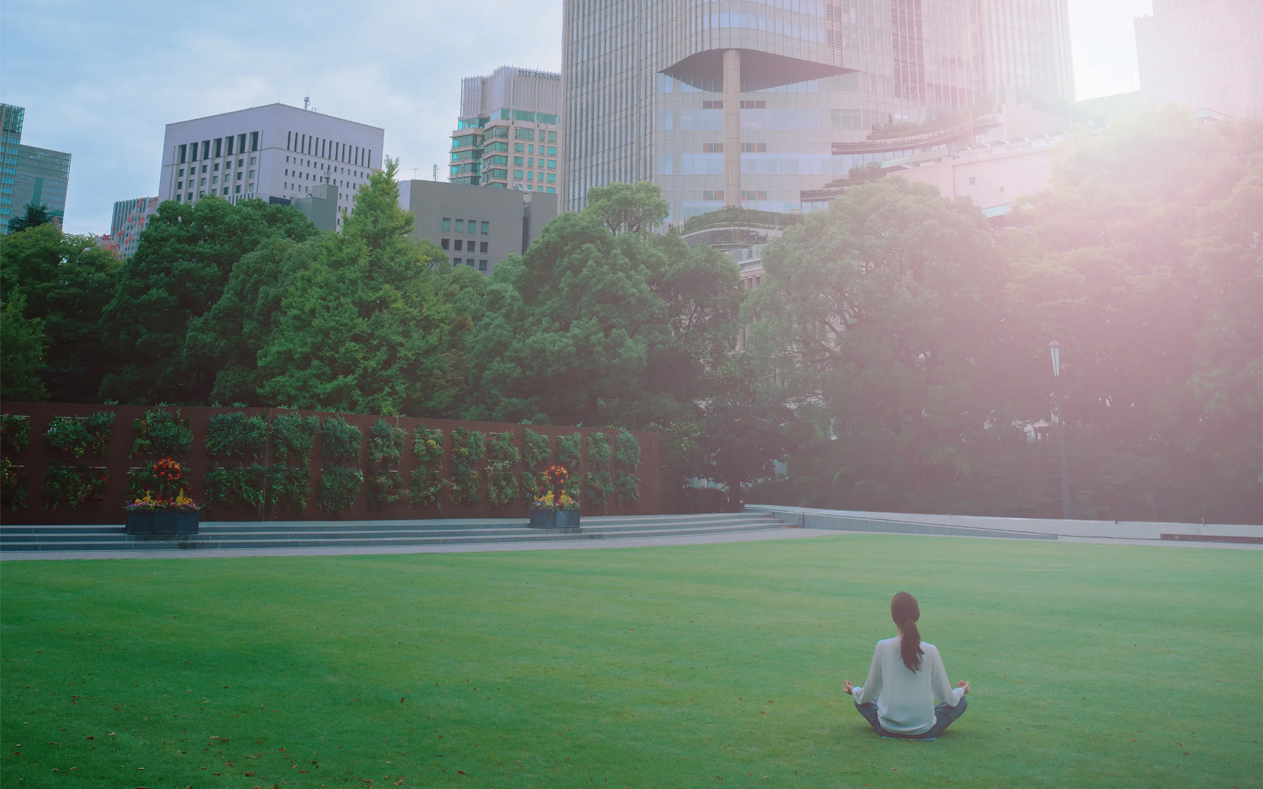 メインビジュアル