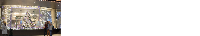 Nordic Christmas in HIBIYA Chanter