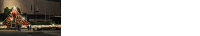 Imperial Hotel Christmas Tree & Illuminations