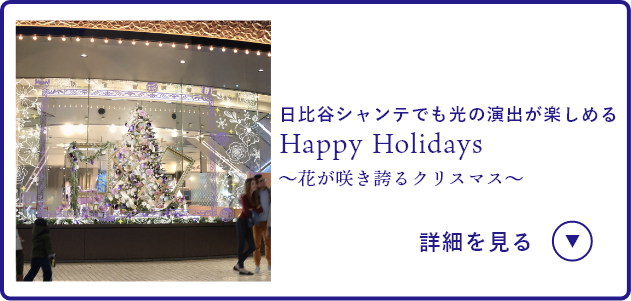 帝国ホテル 東京のクリスマスツリー＆イルミネーション